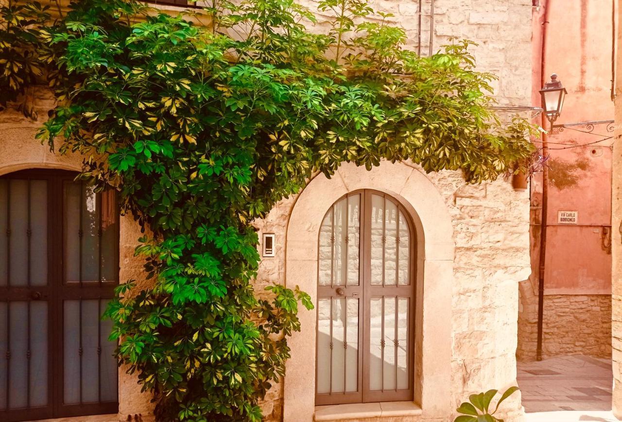 Palo Del Colle Ierva Chiain, Guest House Zewnętrze zdjęcie